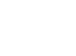 Logo Altair